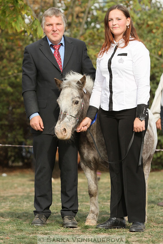 Výstava minihorse 