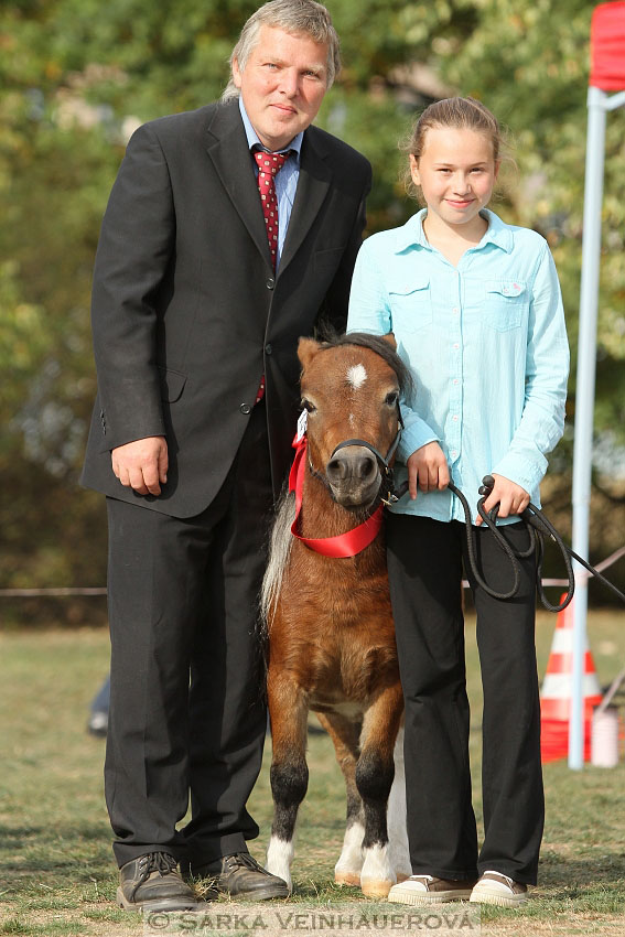 Výstava minihorse 