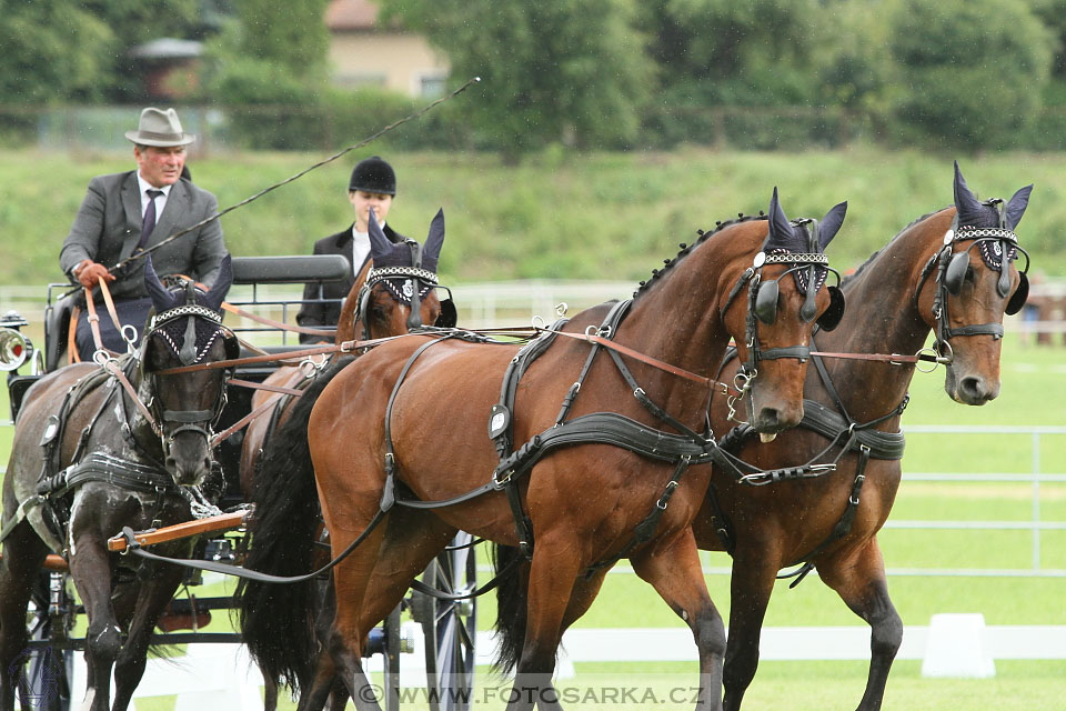 Závody spřežení Topoľčianky 2016