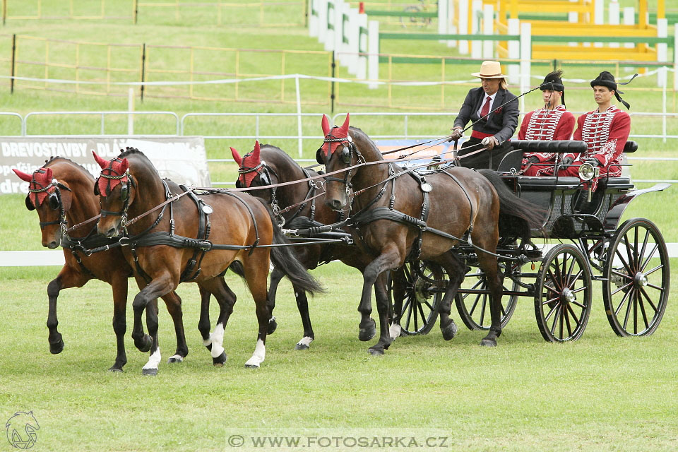 Závody spřežení Topoľčianky 2016