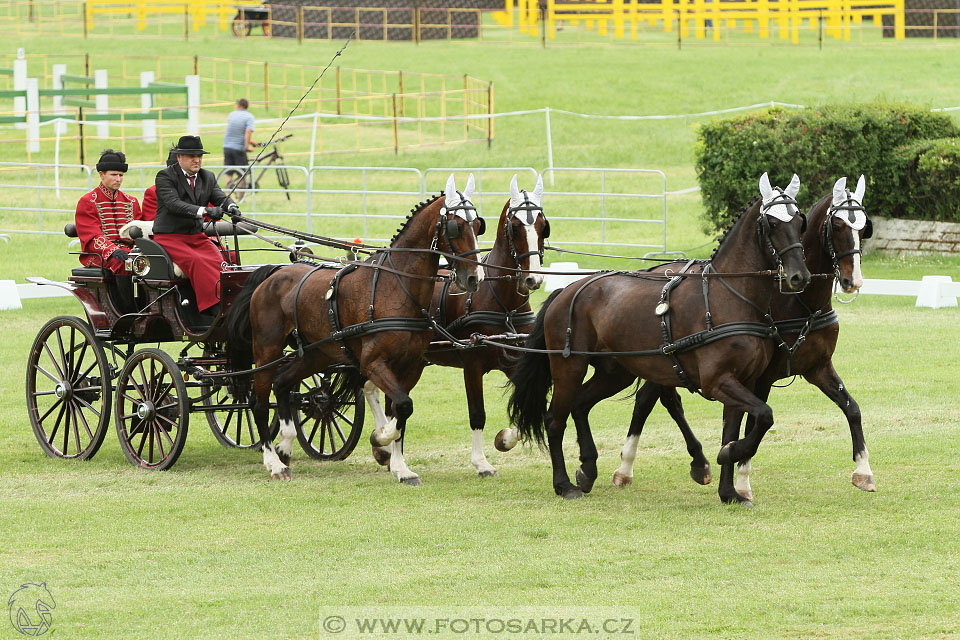 Závody spřežení Topoľčianky 2016