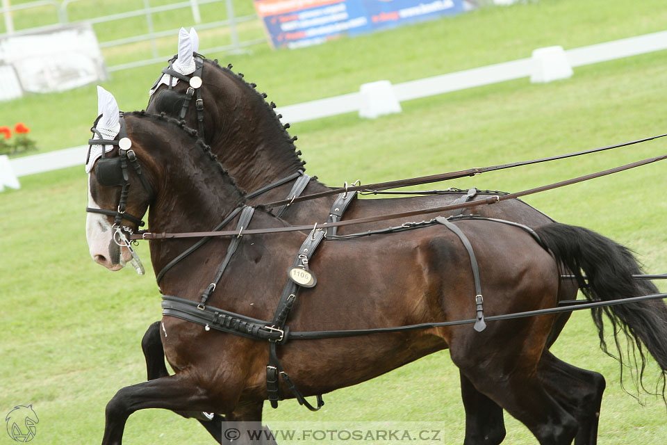 Závody spřežení Topoľčianky 2016