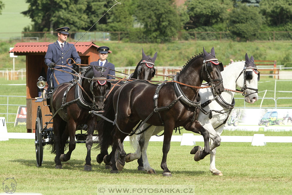 Závody spřežení Topoľčianky 2016