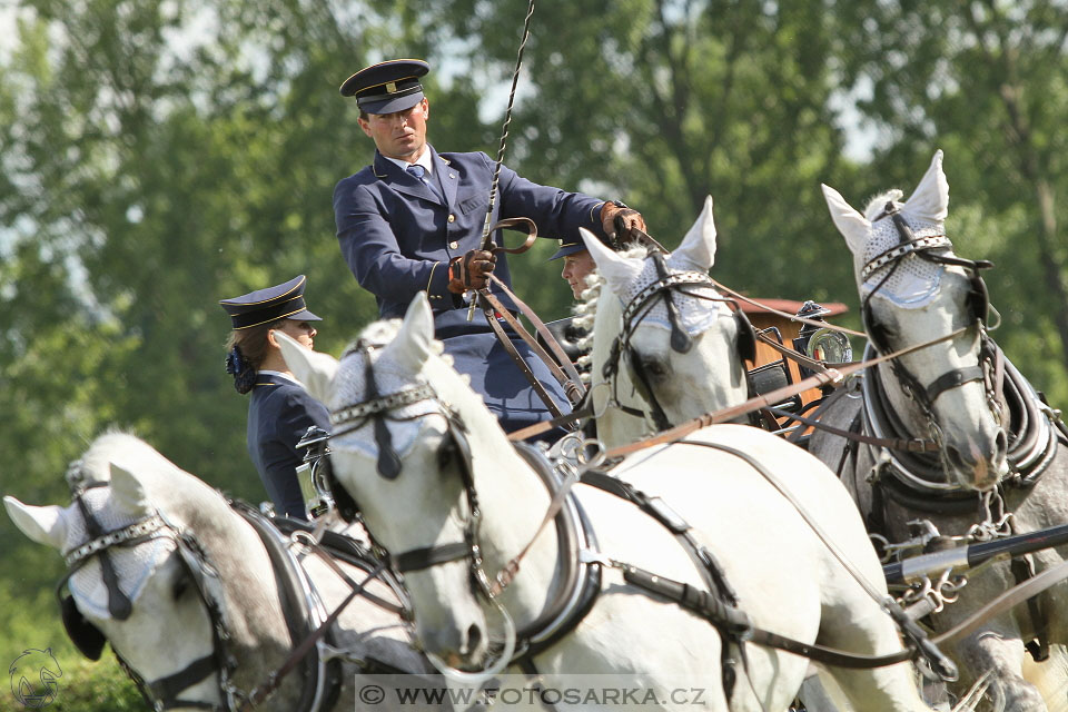 Závody spřežení Topoľčianky 2016