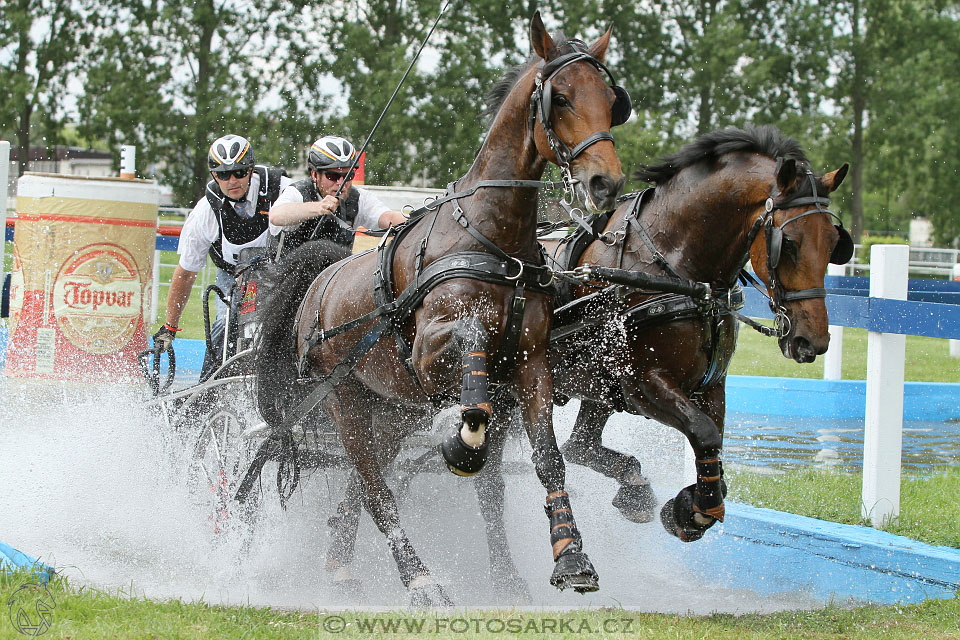 Závody spřežení Topoľčianky 2016