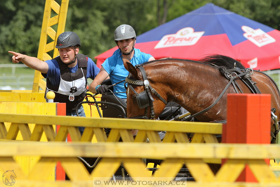 Závody spřežení Topoľčianky 2016