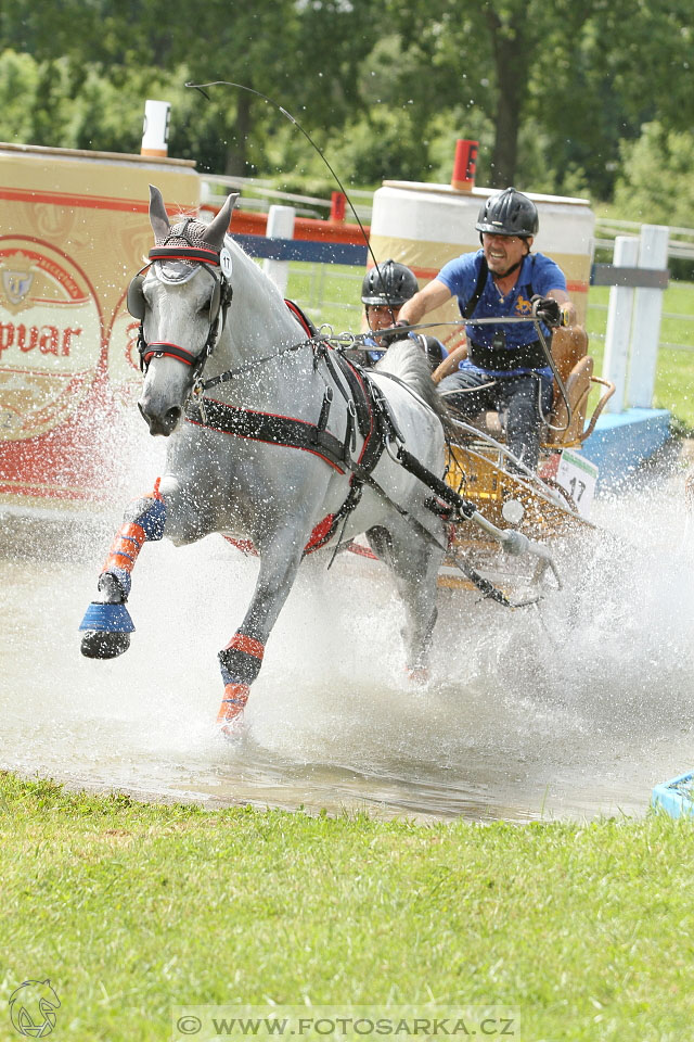 Závody spřežení Topoľčianky 2016