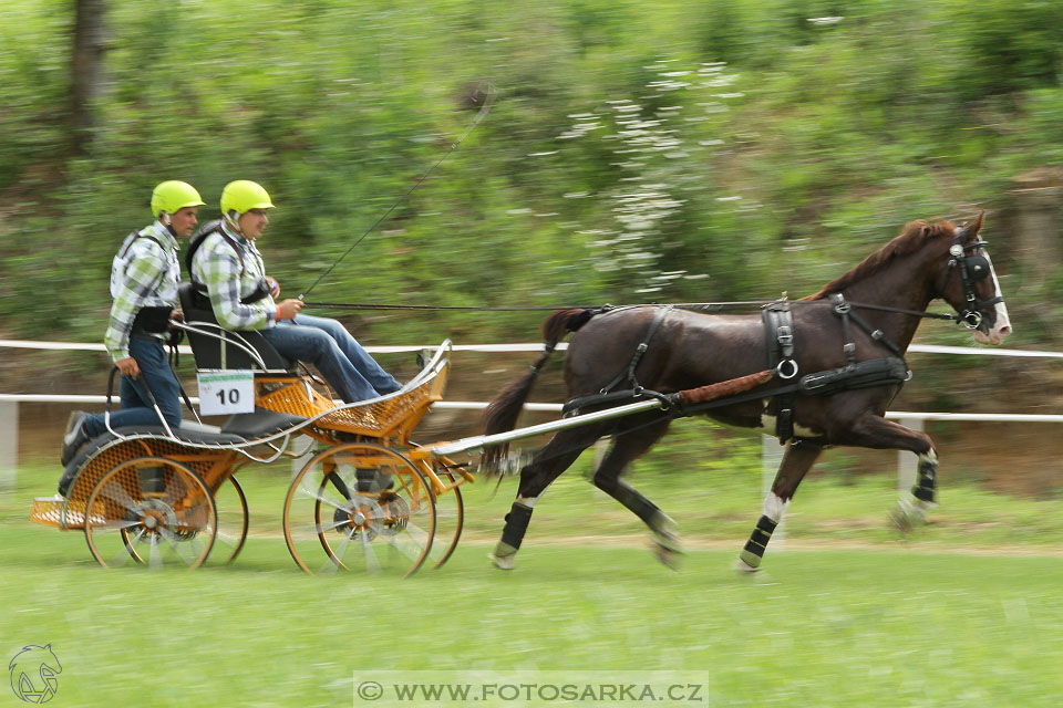 Závody spřežení Topoľčianky 2016