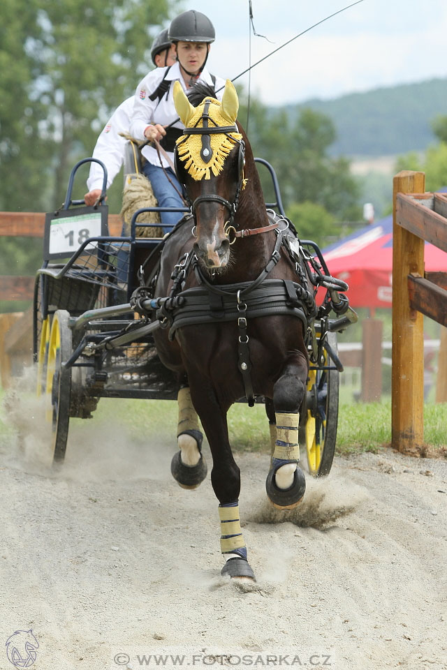 Závody spřežení Topoľčianky 2016