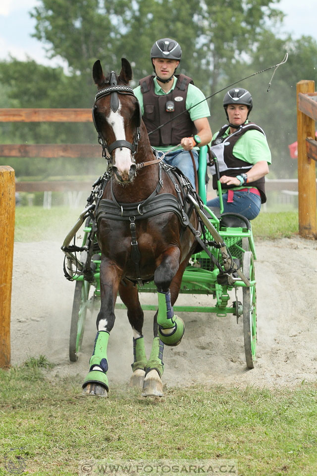 Závody spřežení Topoľčianky 2016