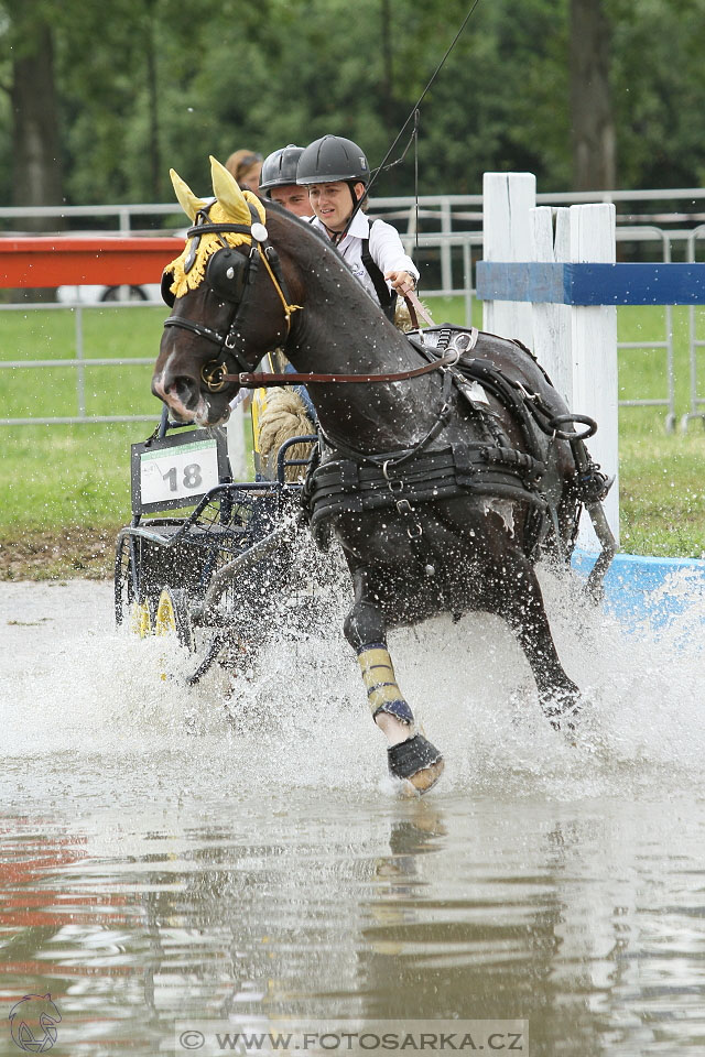 Závody spřežení Topoľčianky 2016