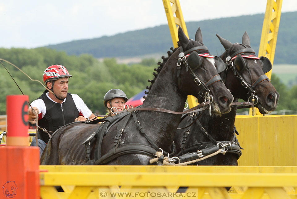 Závody spřežení Topoľčianky 2016