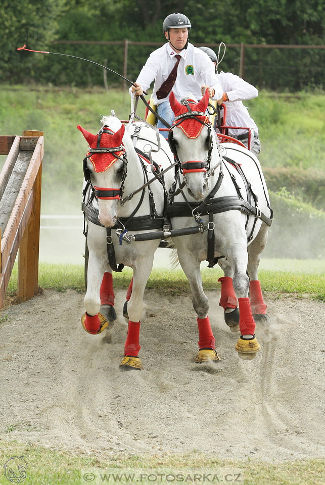 Závody spřežení Topoľčianky 2016