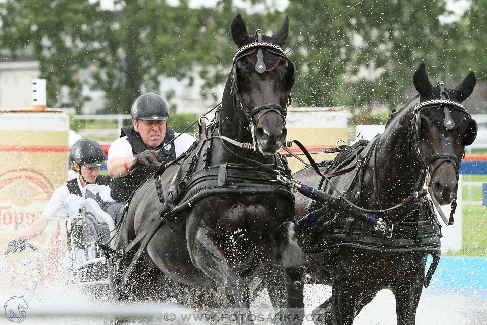 Závody spřežení Topoľčianky 2016