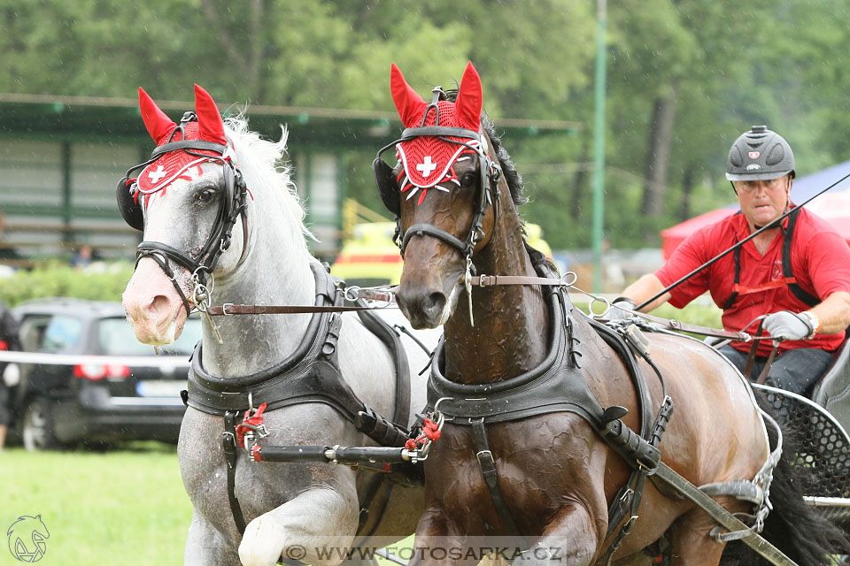 Závody spřežení Topoľčianky 2016