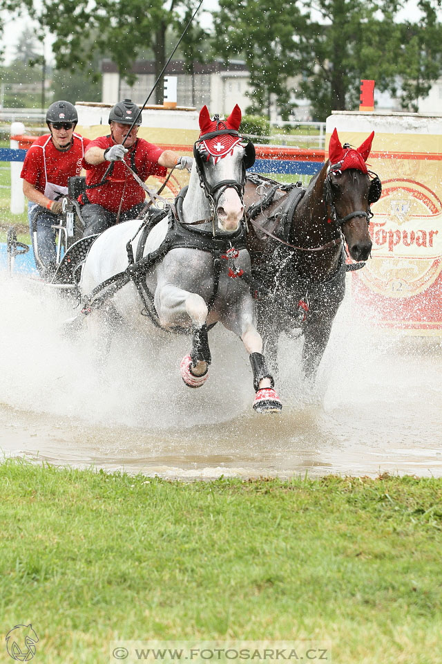 Závody spřežení Topoľčianky 2016