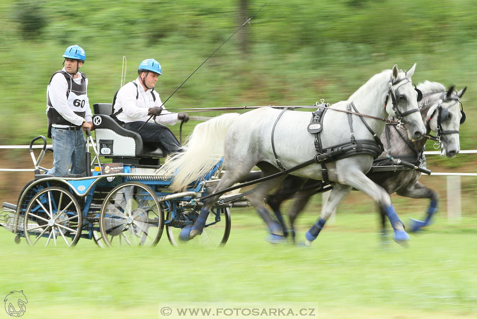 Závody spřežení Topoľčianky 2016