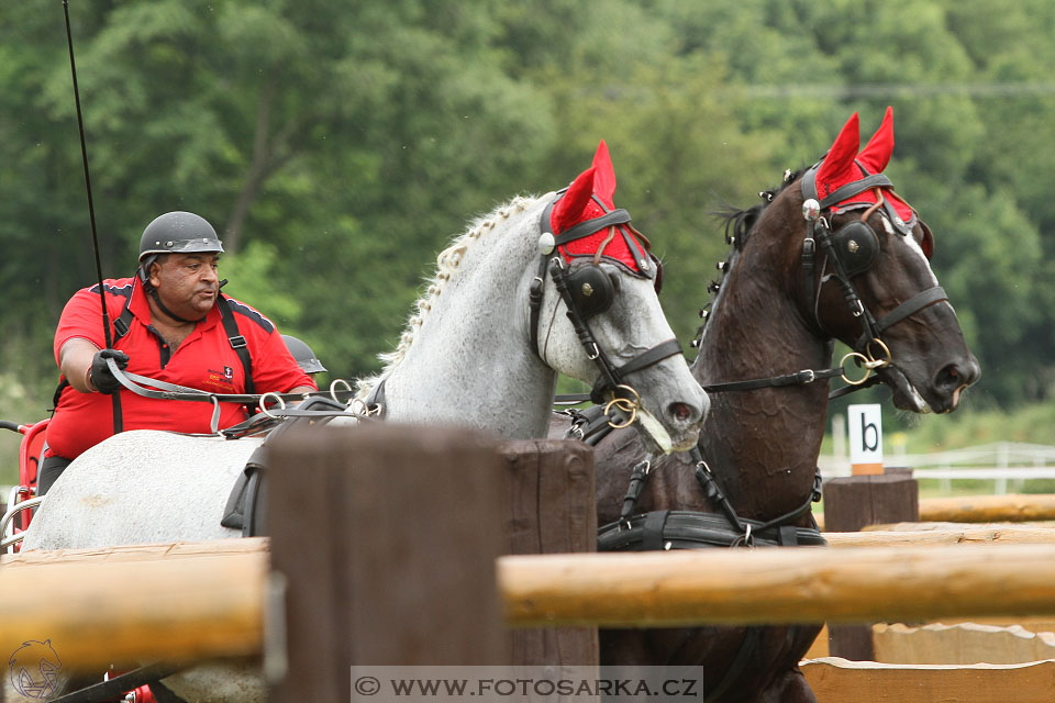 Závody spřežení Topoľčianky 2016