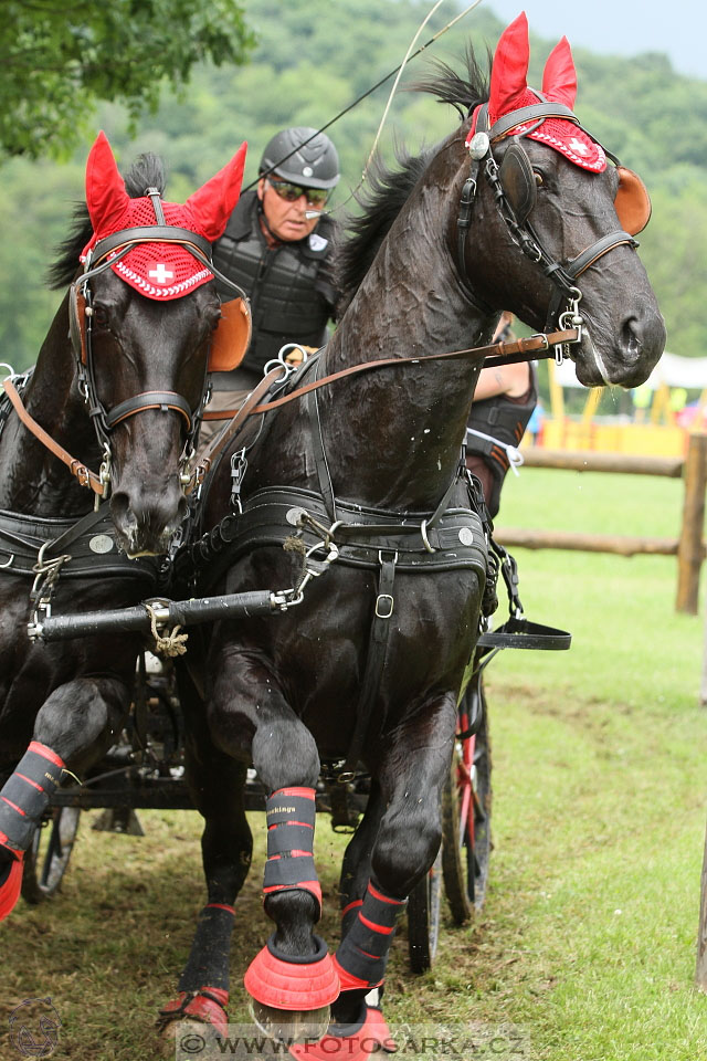 Závody spřežení Topoľčianky 2016