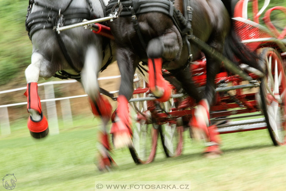 Závody spřežení Topoľčianky 2016