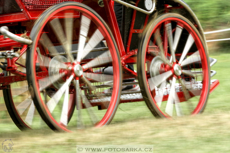 Závody spřežení Topoľčianky 2016