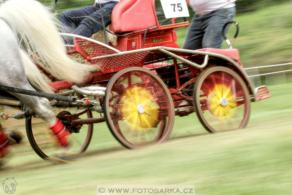 Závody spřežení Topoľčianky 2016