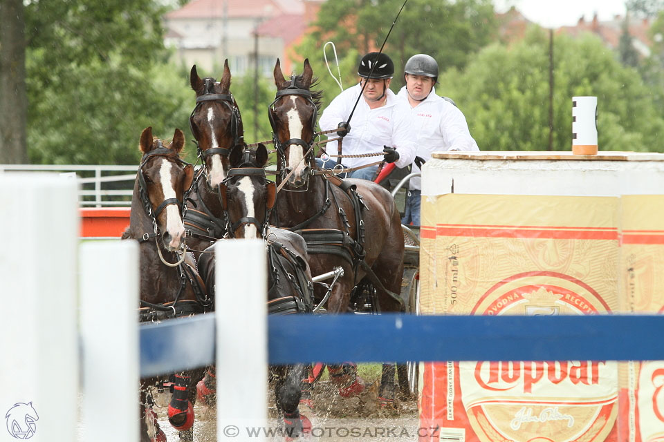 Závody spřežení Topoľčianky 2016