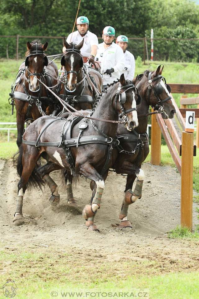 Závody spřežení Topoľčianky 2016