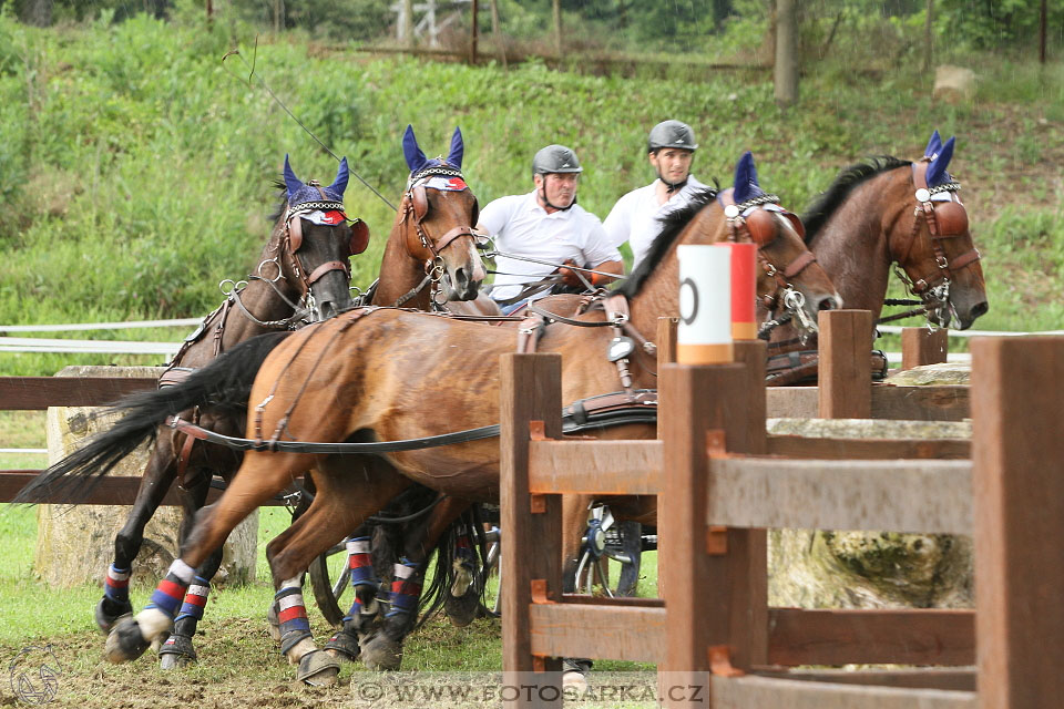 Závody spřežení Topoľčianky 2016