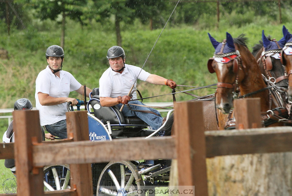 Závody spřežení Topoľčianky 2016