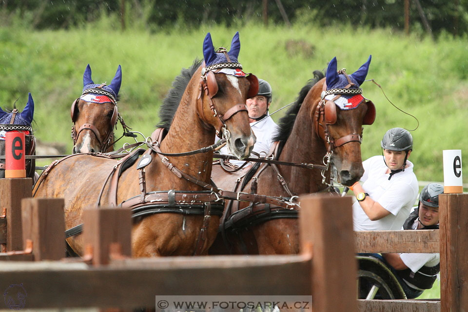 Závody spřežení Topoľčianky 2016