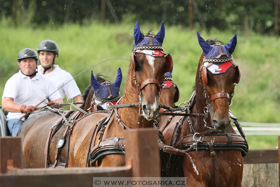 Závody spřežení Topoľčianky 2016