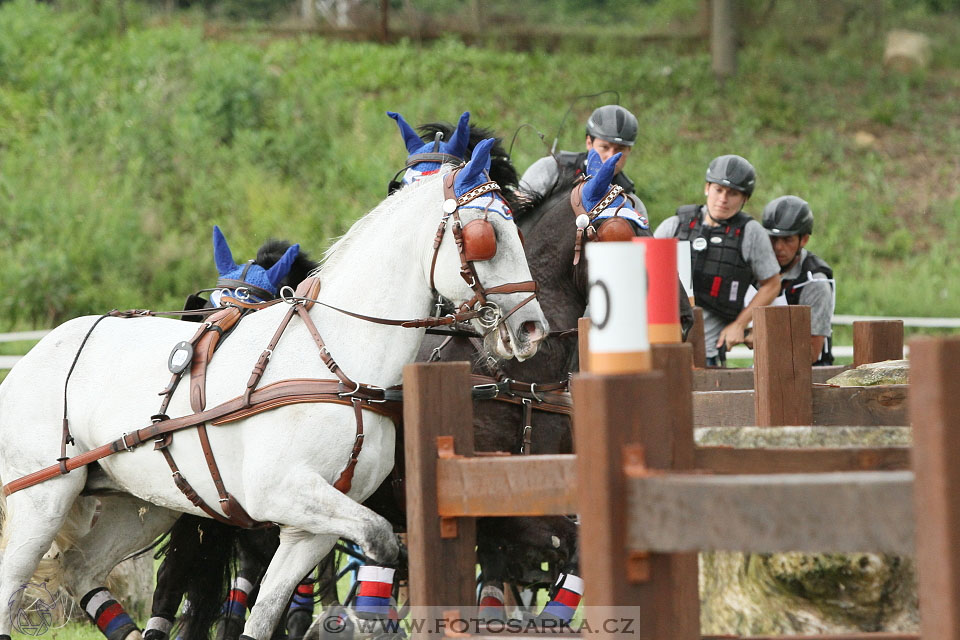 Závody spřežení Topoľčianky 2016