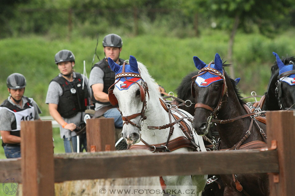 Závody spřežení Topoľčianky 2016