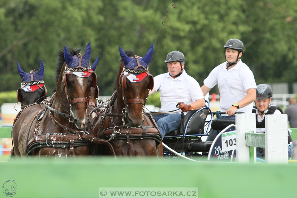 Závody spřežení Topoľčianky 2016