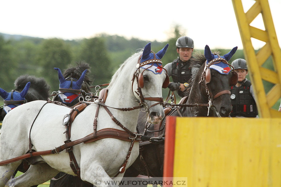 Závody spřežení Topoľčianky 2016