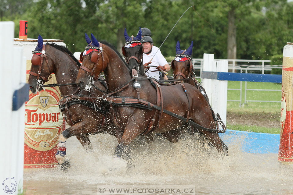 Závody spřežení Topoľčianky 2016