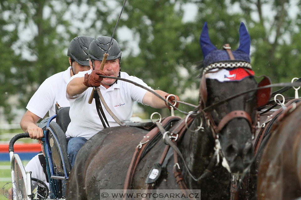 Závody spřežení Topoľčianky 2016