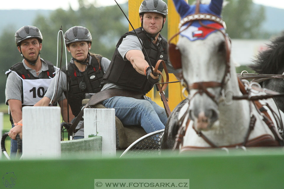 Závody spřežení Topoľčianky 2016