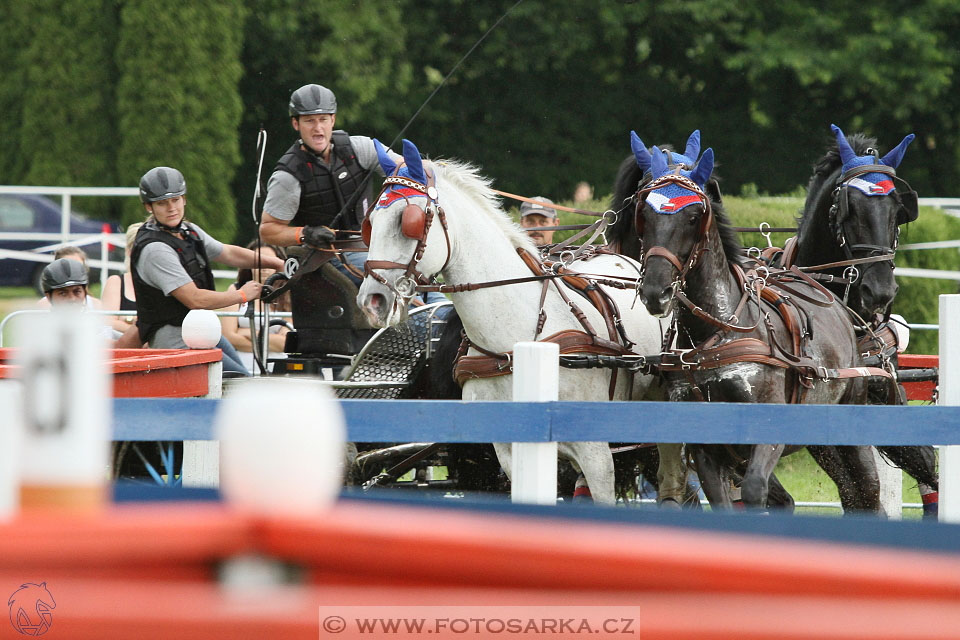 Závody spřežení Topoľčianky 2016