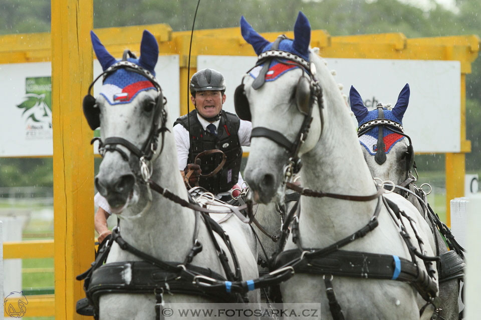 Závody spřežení Topoľčianky 2016