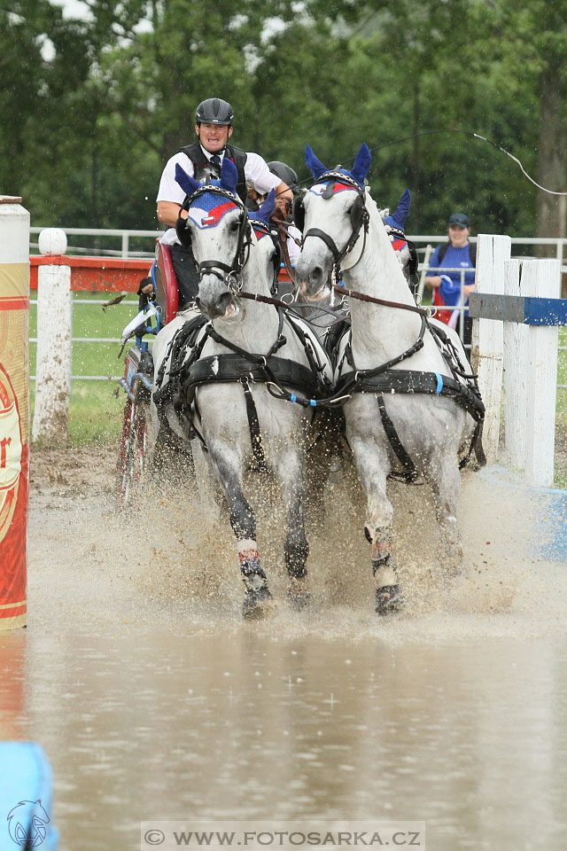 Závody spřežení Topoľčianky 2016