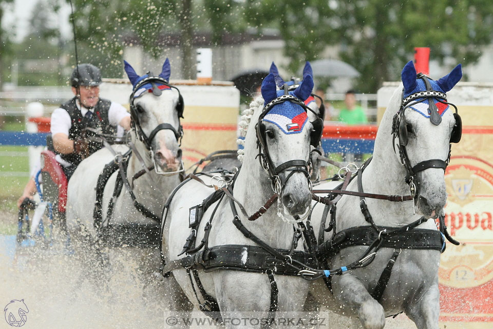 Závody spřežení Topoľčianky 2016