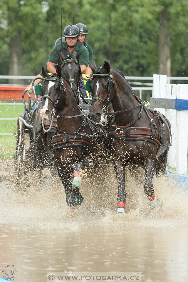 Závody spřežení Topoľčianky 2016