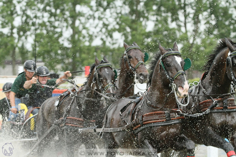 Závody spřežení Topoľčianky 2016