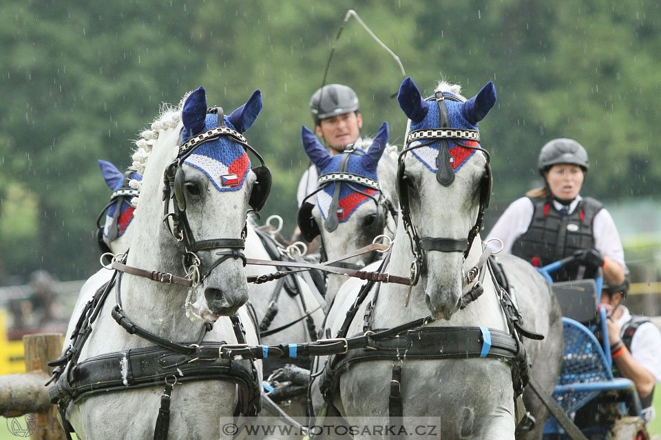 Závody spřežení Topoľčianky 2016