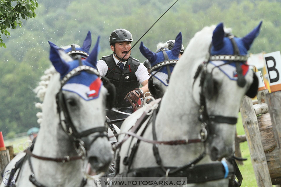 Závody spřežení Topoľčianky 2016