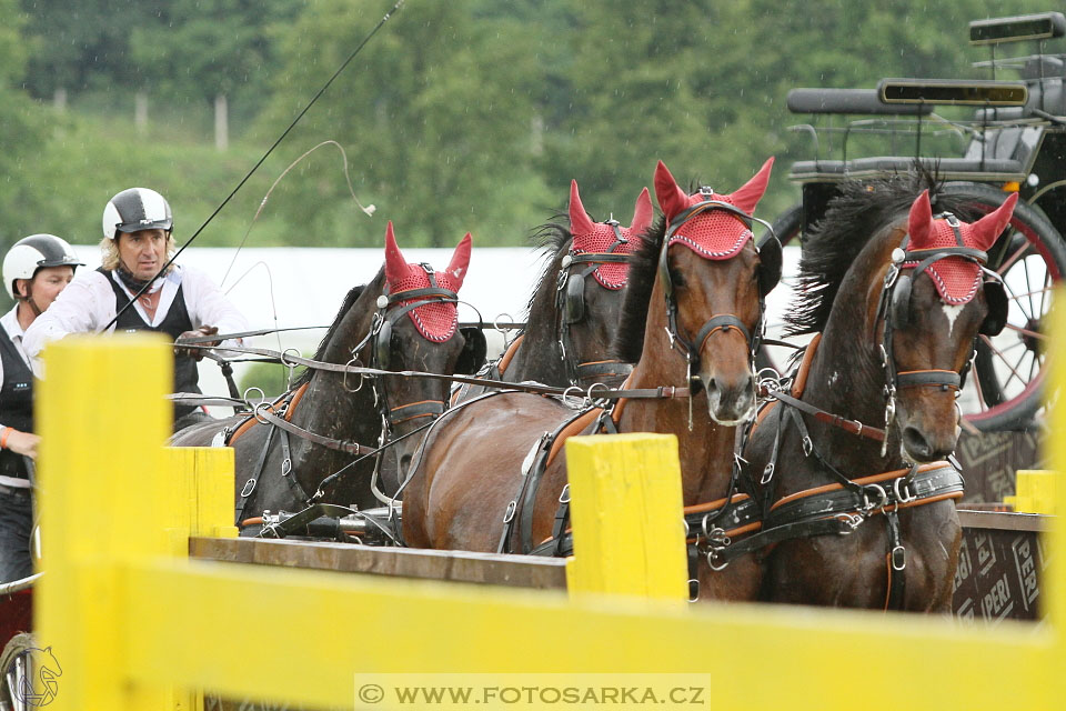 Závody spřežení Topoľčianky 2016