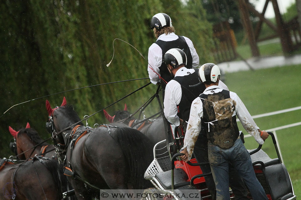 Závody spřežení Topoľčianky 2016