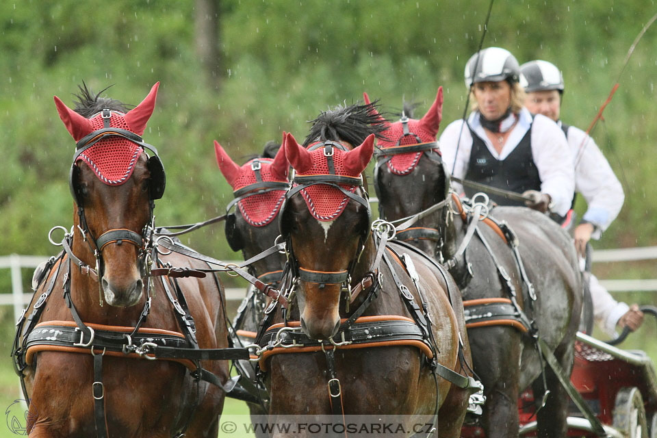 Závody spřežení Topoľčianky 2016